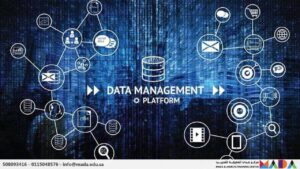 دورة أساسيات إدارة البيانات