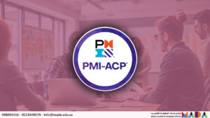 دورة ممارس اجايل PMI-ACP (PMI Agile Practitioner)
